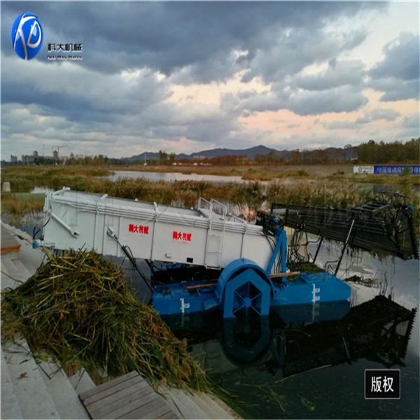 全自動(dòng)蘆葦收割船現(xiàn)場視頻及圖片